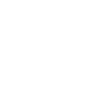 Lexi J Wellness Logo