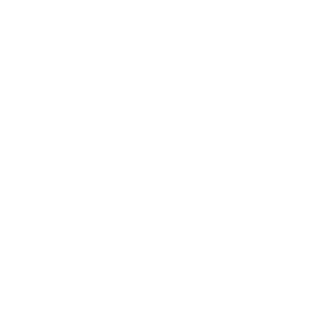 Cheatin Snakes Logo